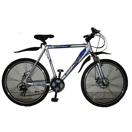 raleigh bicycle price