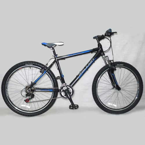 raleigh talus 1.0