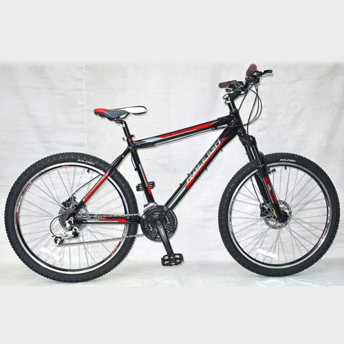 raleigh 4.0 mountain bike